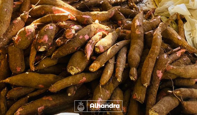 Famílias assistidas pela Prefeitura de Alhandra são beneficiadas com a distribuição de alimentos pelo PAA CONAB