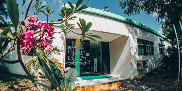 Prefeitura de Campina Grande abre 14 oportunidades de emprego na Clinica Escola do Autismo