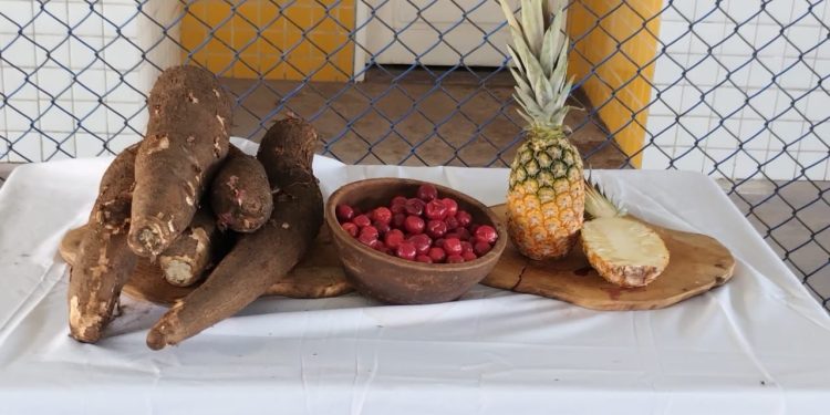 Prefeitura de Sapé distribui 3,7 toneladas de alimentos através do PAA