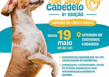 Cabedelo realiza mais um evento para adoção de animais nesta sexta-feira