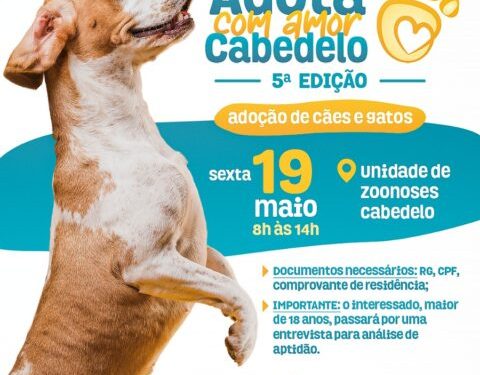 Cabedelo realiza mais um evento para adoção de animais nesta sexta-feira