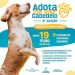 Cabedelo realiza mais um evento para adoção de animais nesta sexta-feira