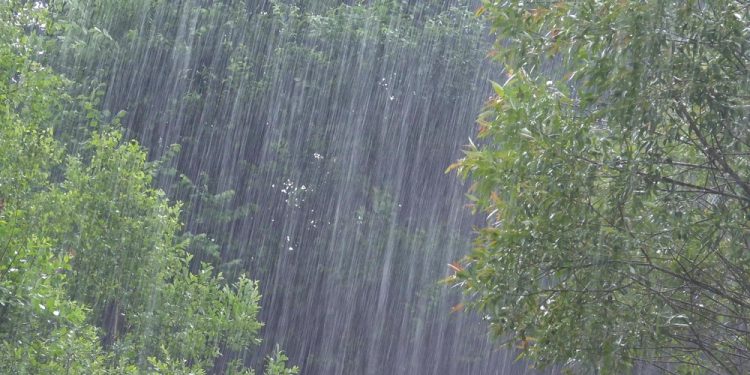 Inmet divulga alerta de perigo potencial de chuvas para 122 cidades da Paraíba