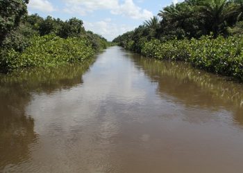 MPPB, TJPB e OAB promoverão simpósio sobre direito ambiental; inscrições abertas