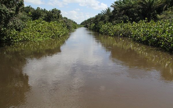 MPPB, TJPB e OAB promoverão simpósio sobre direito ambiental; inscrições abertas