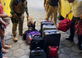 COMBATE ÀS DROGAS: Polícia Civil inicia ação de fiscalização permanente no Terminal Rodoviário de Campina Grande
