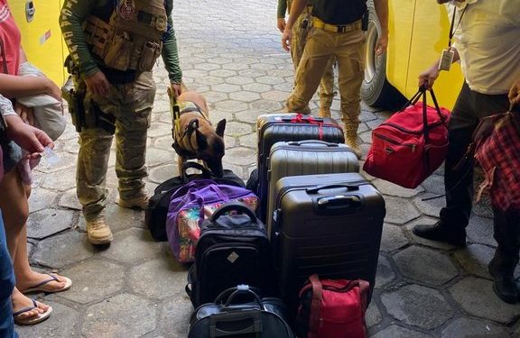 COMBATE ÀS DROGAS: Polícia Civil inicia ação de fiscalização permanente no Terminal Rodoviário de Campina Grande