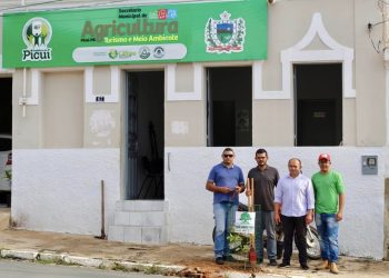 Iniciado o plantio de mudas do Programa Picuí Cidade Verde