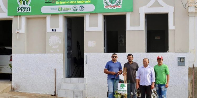 Iniciado o plantio de mudas do Programa Picuí Cidade Verde