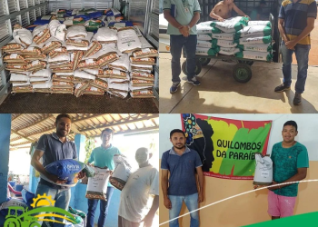 Parceria entre Governo do Estado, PMA e EMPAER/PB beneficia agricultores com a distribuição de 4600 kg de sementes