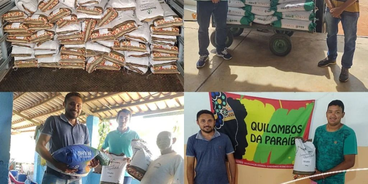Parceria entre Governo do Estado, PMA e EMPAER/PB beneficia agricultores com a distribuição de 4600 kg de sementes