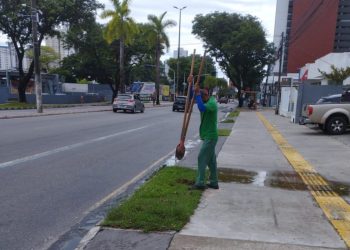 Prefeitura realiza plantio de árvores nativas na Avenida Epitácio Pessoa
