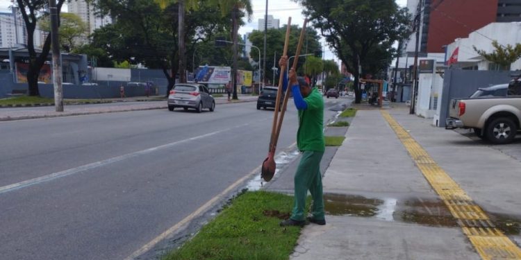 Prefeitura realiza plantio de árvores nativas na Avenida Epitácio Pessoa