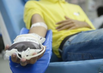 Dia Mundial do Doador de Sangue: Quatorze em cada mil brasileiros são doadores regulares de sangue