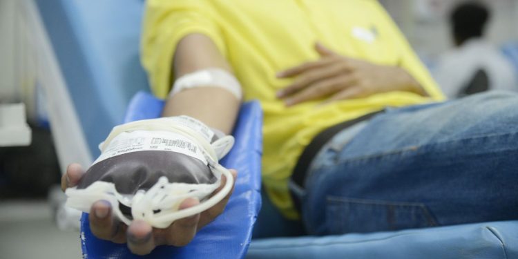 Dia Mundial do Doador de Sangue: Quatorze em cada mil brasileiros são doadores regulares de sangue