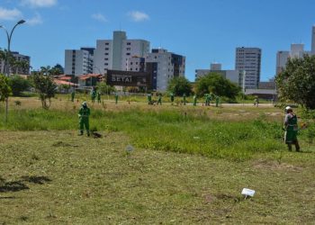 Emlur intensifica combate ao descarte irregular de lixo em áreas públicas e privadas de João Pessoa