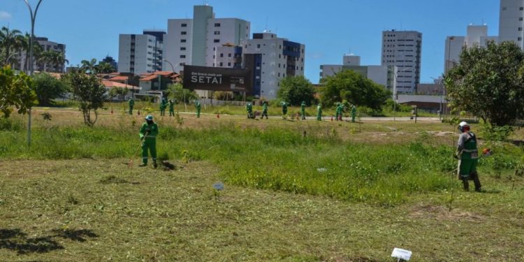 Emlur intensifica combate ao descarte irregular de lixo em áreas públicas e privadas de João Pessoa