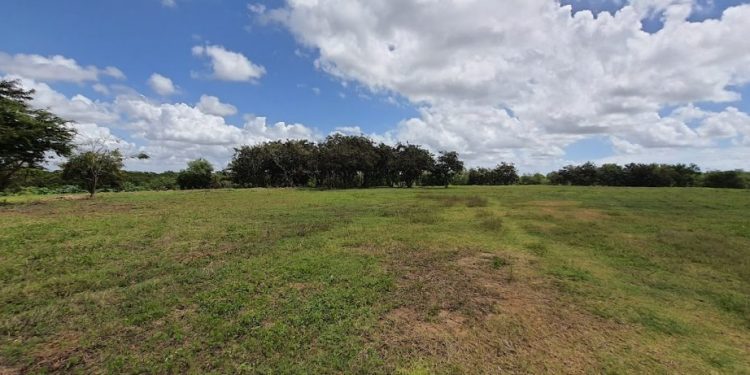 Cícero Lucena abre concorrência para construção de parque no antigo lixão do Roger