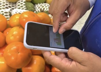 Meio Ambiente e ESG: Empresas aderem a iniciativas simples e que impactam positivamente os resultados e preservam o meio ambiente