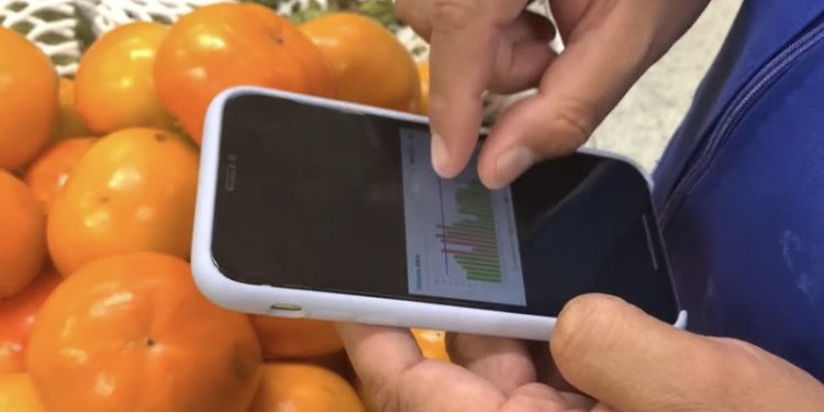 Meio Ambiente e ESG: Empresas aderem a iniciativas simples e que impactam positivamente os resultados e preservam o meio ambiente