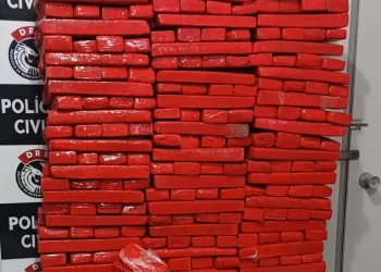Cerca de 200 kg de maconha são apreendidos pela polícia em Campina Grande