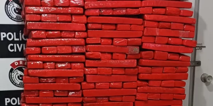 Cerca de 200 kg de maconha são apreendidos pela polícia em Campina Grande