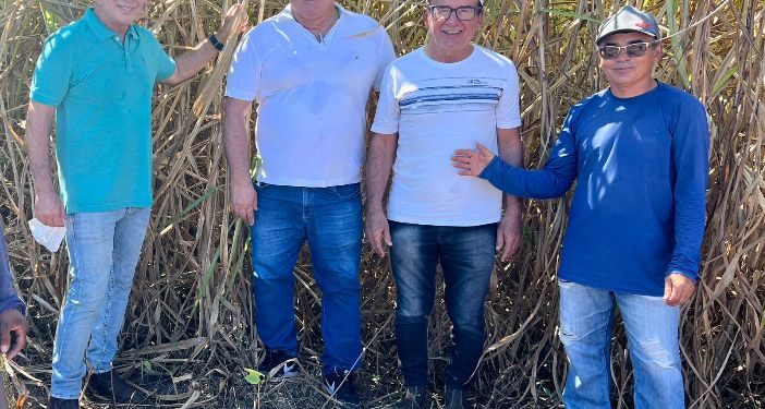 Prefeitura de Patos realiza produção de Silagem para pequenos agricultores