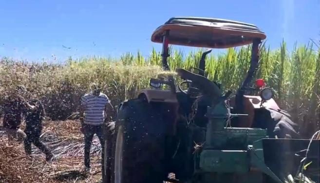 Prefeitura de Patos realiza produção de Silagem para pequenos agricultores