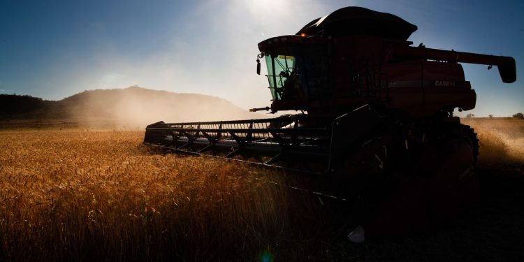 Governo federal faz ajustes em programas de concessão de crédito rural