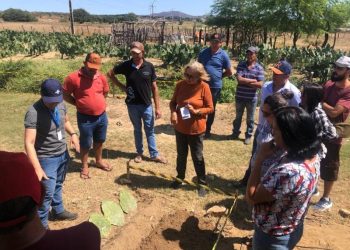 Secretaria de Agricultura de Patos promove manhã de campo sobre o cultivo da palma forrageira