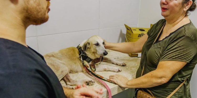 Em dois meses, Clínica Pet atendeu mais de mil gatos e cães