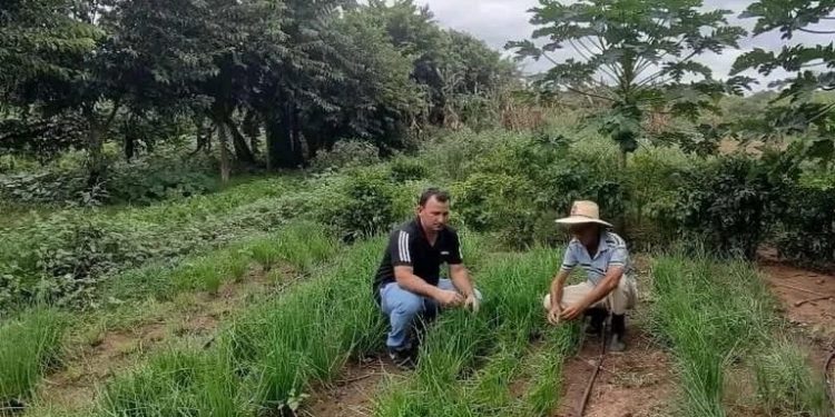 Eventos agropecuários movimentam economia de Cajazeirinhas