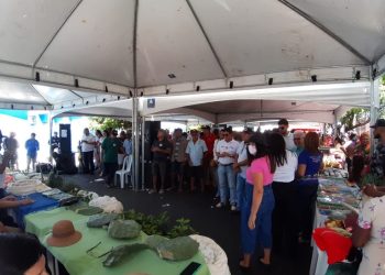 Feira Agropecuária em Cajazeirinhas supera expectativa de público e vendas