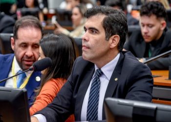 Ricardo Ayres propõe destinação de armas e bens apreendidos para as forças de segurança e administração pública