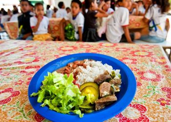 Governo repassa R$ 2,5 bilhões em seis meses para alimentação escolar