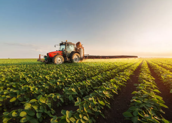 BNDES garante R＄ 50 bilhões em créditos para o agro em 2023
