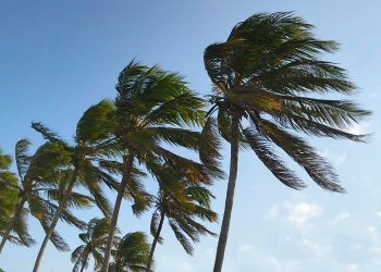 Inmet informa que todos os municípios da Paraíba estão sob alerta de perigo de ventos fortes