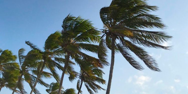 Inmet informa que todos os municípios da Paraíba estão sob alerta de perigo de ventos fortes