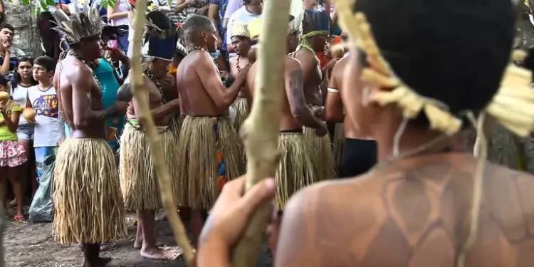 Comissão de Educação aprova projeto que prevê reserva de 10% das vagas em cursos profissionalizantes a pessoas indígenas