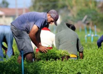 Inovação tecnológica visa produzir e incluir produtor rural