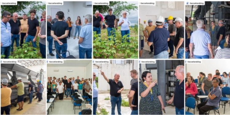 Indústria têxtil, Itacoop e entes governamentais reforçam parceria em Ingá envolvendo a cultura do algodão orgânico