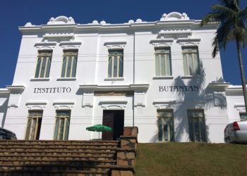 Instituto Butantan desenvolve pomada cicatrizante para evitar queloides