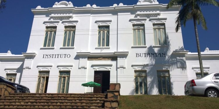 Instituto Butantan desenvolve pomada cicatrizante para evitar queloides
