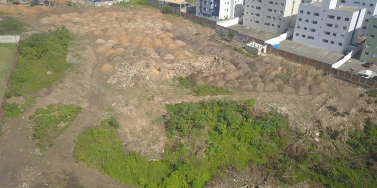 SEMAM notifica empresa que desmatou área de preservação de forma irregular