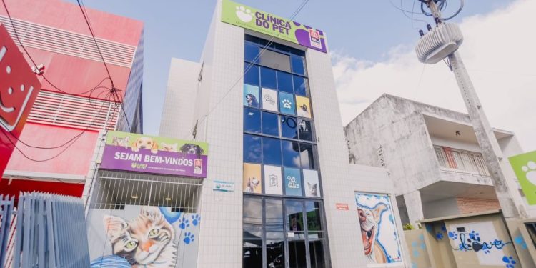 Prefeitura abre inscrições para castração de gatos em mutirão promovido no próximo sábado