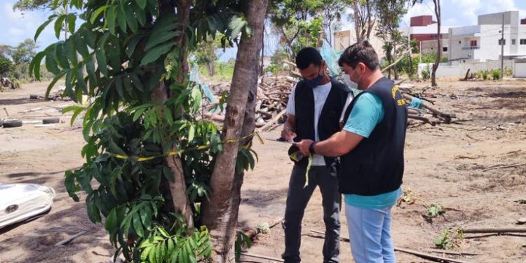 SEMAM realiza monitoramento em mais de 1.780 árvores urbanas da Capital