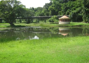 Jardim Botânico terá programação especial neste sábado para celebrar seus 23 anos