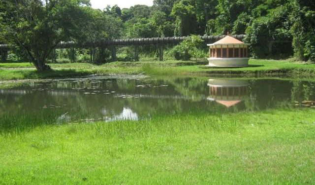 Jardim Botânico terá programação especial neste sábado para celebrar seus 23 anos