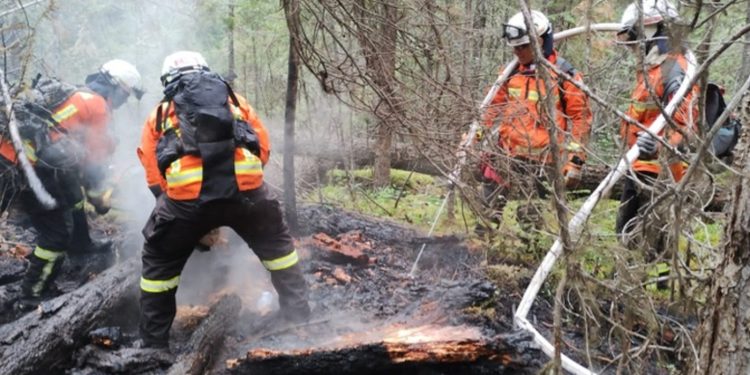 Cooperação internacional: missão brasileira que combateu incêndios florestais no Canadá retorna ao País