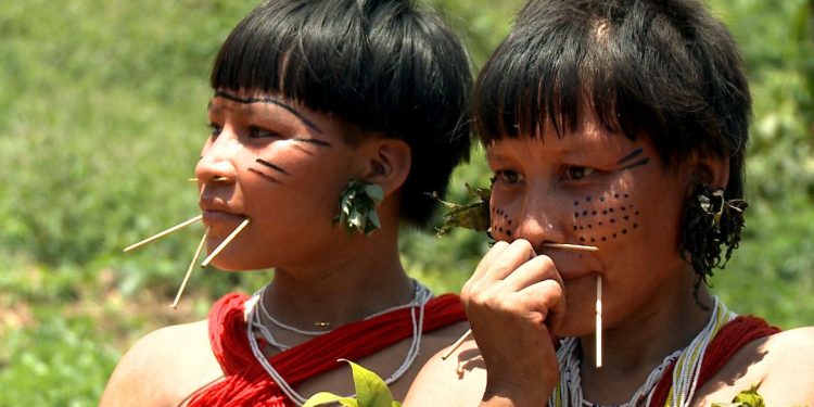 Censo 2022: Brasil tem 1,69 milhão de indígenas